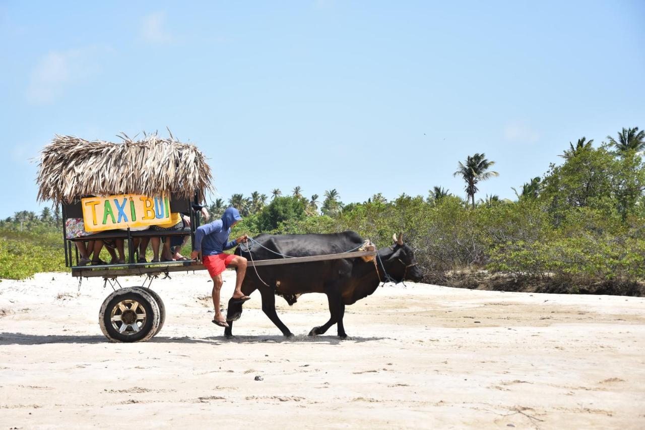 Pousada Velho Bateau Atins Ngoại thất bức ảnh